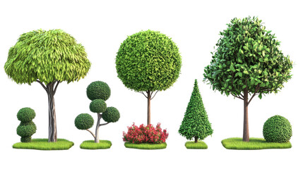 Different Types of Trees and Shrubs in a Lush Garden Setting