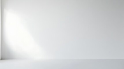 Empty white room with wall