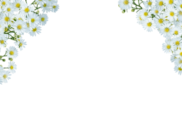 White cutter flower frame isolated