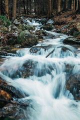 Fototapeta premium Leśny potok
