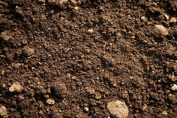 Earth's Essence: A Close-Up of Natural Soil