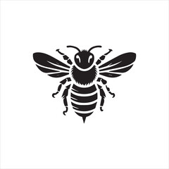 bee and honey