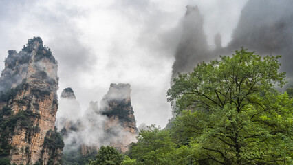 Mystical mountain landscape. Through the haze, high rocky pillars can be seen, shrouded in clouds and fog. Green trees in the foreground. China. Golden Whip Brook. Wulingyuan 
