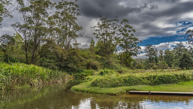 A calm river in a tropical rain forest. The riverbed bends. There is a boat dock near the shore. Thickets of lush green vegetation- tall grass, bushes, trees. Cloudy. Madagascar. Vakona Forest Reserve