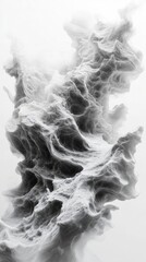 Abstract grayscale image of swirling, textured smoke or cloud formations resembling a unique organic structure.