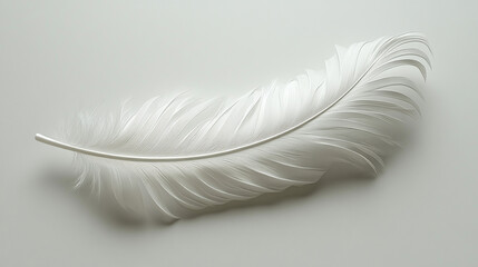 Obraz premium A soft feather is displayed diagonally across the frame, with a blue left side fading into pink at the right