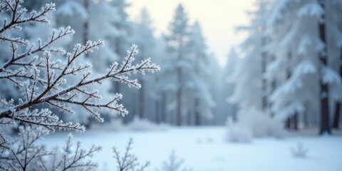 Winter Wonderland A Frost-Covered Branch in a Snowy Forest, Serenity and Peace in Nature's Embrace