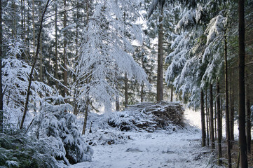 Winterwonderland im Schwarzwald bei Biederbach