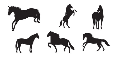 silhouette horse