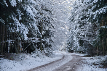 Obraz premium Winterwonderland im Schwarzwald bei Biederbach