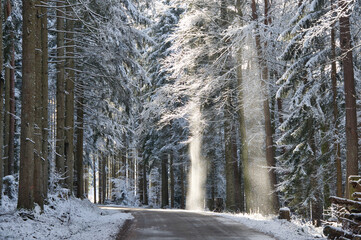 Winterwonderland im Schwarzwald bei Biederbach