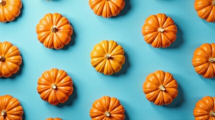 A vibrant autumnal arrangement featuring miniature pumpkins in a symmetrical pattern against a light blue backdrop.