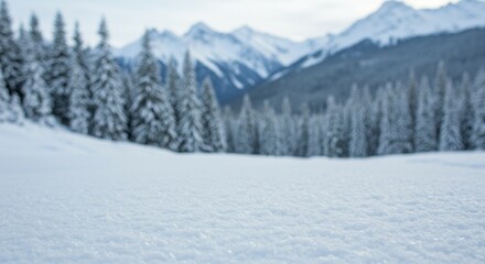 Obraz premium A serene winter scene with a field of snow-covered pine trees standing tall against a backdrop of snow-capped mountains