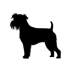 Black miniature schnauzer dog silhouette vector illustration design on white background.
