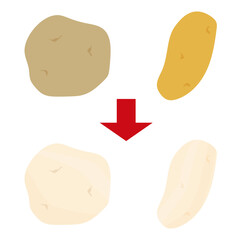 皮むきじゃがいも　ベクターイラスト　シンプル