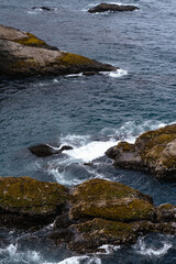 Fototapeta premium Cape Flattery landscape in the Olympic Peninsula in summer in the furthest northwest corner of Washington