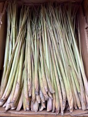 Fresh stalks of lemongrass neatly stacked in a cardboard box for sale