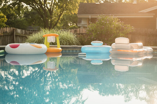 Pool floats in a backyard pool with warm sunlight and greenery