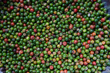 Full frame shot of ripe and unripe peppercorn