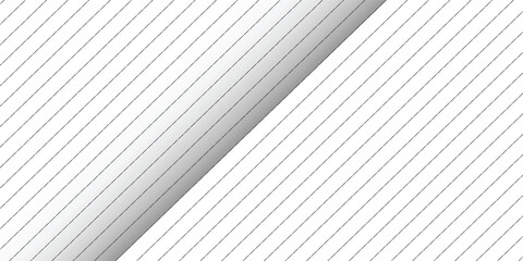 Diagonal stripe seamless pattern. Geometric classic black and white thin line background.