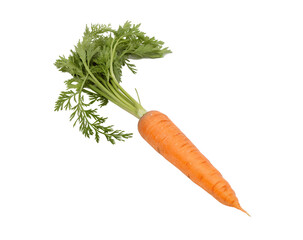 Fresh carrot isolated on a white transparent background, showcasing its vibrant orange color and crisp texture. Perfect for food photography, healthy eating blogs, and promoting fresh vegetables