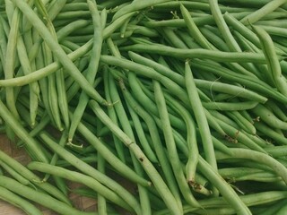 fresh green beans