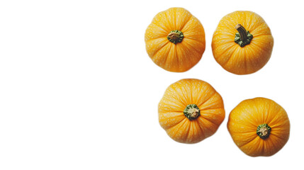 Fresh Orange Pumpkins on White Background for Autumn Season Decor