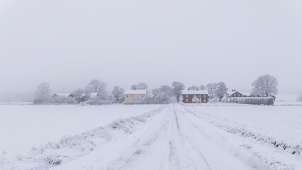 Winter landscape with snow and frost