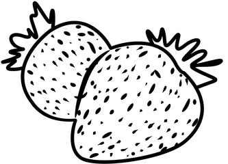 fresh strawberry fruit coloring book