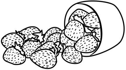 fresh strawberry fruit coloring book