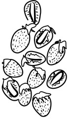 fresh strawberry fruit coloring book