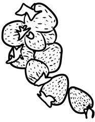 fresh strawberry fruit coloring book