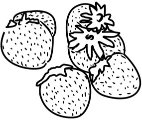 fresh strawberry fruit coloring book