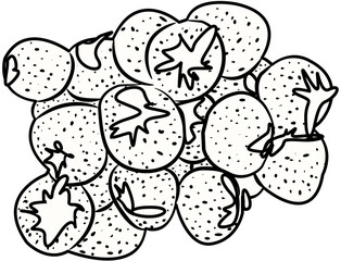 fresh strawberry fruit coloring book