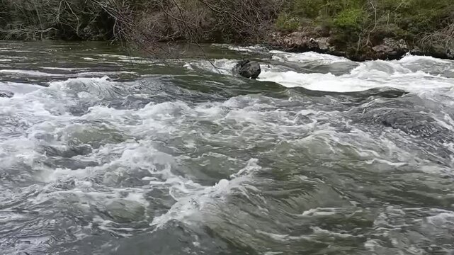 Ebro River flowing with strength and speed as it passes through Valdenoceda, Burgos
