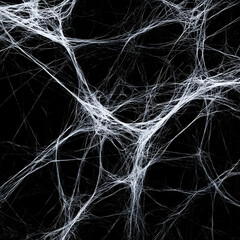 Intricate White Spiderweb Abstract Background
