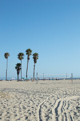 Empty beach volleyball courts and palm trees
