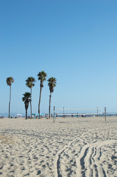 Empty beach volleyball courts and palm trees