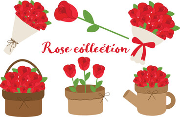 Rose Collection Valentine's Day