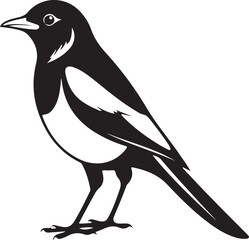 doyel birdsn selhoute 