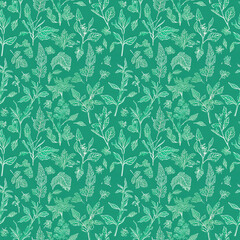 Fototapeta premium Beautiful seamless botanical pattern with hand-drawn plants