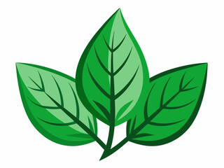 Realistic Green Tree Leaves Isolated on Transparent Background for Nature Designs.