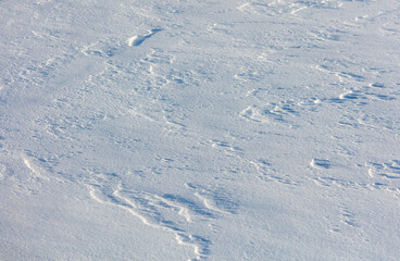 The snow is white and the ground is covered in it