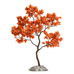 a realistic image of a orange autumn maple tree, isolated white background