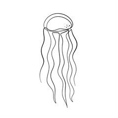 Continuous line drawing of jellyfish. One line of sea jellyfish. Sea animal concept continuous line art.