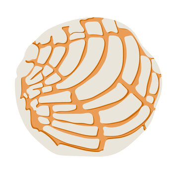 Concha Mexican Bread Illustration Isolated on White Background