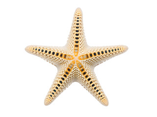 Starfish isolated on white background