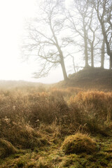 Fototapeta premium Stunning dramatic atmospheric sunrise landscape image of foggy morning at Elter Water around River Brathay in Lake District