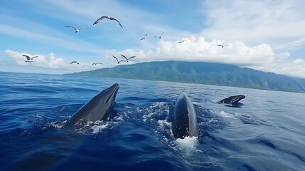 Fototapeta premium Mesmerizing Encounter: Whales and Seabirds in Tropical Paradise