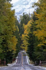 Fototapeta premium Autumn road with snow, vibrant fall colors, and a winding path through the trees. Glacier National Park, West Glacier, Montana, USA